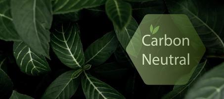 concepto de carbono neutral. co2 neutral en logo hexagonal en hojas verdes. fondo del día del medio ambiente y del día de la tierra. Respetuoso del medio ambiente. ecología medio ambiente y conservación. banner web horizontal neutral en carbono. foto