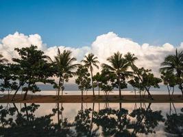 Reflection of the trees on the beach with the reflection on swimming pool. photo