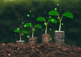 a tree growing on a pile of coins Business success concept, finance, savings, stocks, marketing photo