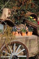 Flowers in crates baskets pots and watering can on cart table photo