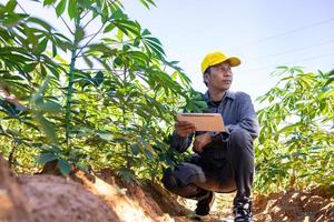 granjero inteligente un hombre asiático usa una tableta para analizar los cultivos que cultiva en su granja durante el día. foto