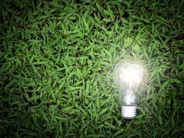 Light bulb on green grass, energy-saving, save the world, love and  protect our planet, environmental friendly concept photo