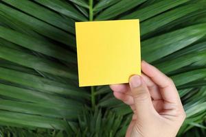 Blank note paper in hand on beautiful fresh green leaves background, copy-space on card to put your message.