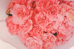 hermosa flor de clavel rosa envuelta en papel a la venta en el mercado de flores, floreciente fondo festivo de flores de verano. foto