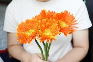 hermoso ramo de margaritas de gerbera naranja en la mano, flor de primavera verano floreciendo. foto