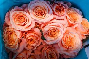 rosa hermosa rosa envuelta en papel a la venta en el mercado de las flores, regalo presente en el día de san valentín. foto