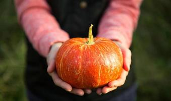 Orange round pumpkin in women's hands on a dark green background. Autumn harvest festival, farming, gardening, thanksgiving, Halloween. Warm atmosphere, natural products. Space for text