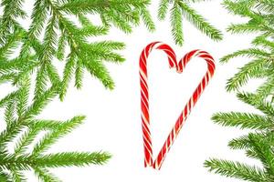 Natural frame of fresh green spruce branches on a white background, and a heart shaped candy cane in the center, isolate. Christmas, new year, Christmas tree, Valentine's day. Copy space photo