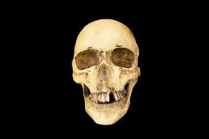 A model of a human skull on a black background, isolated. Head bone, eye sockets, teeth-a concept for science, medicine, Halloween. Copy space.