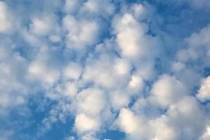 White cumulus clouds in a blue sky. Backgrounds with a pattern of high-beam clouds. Weather, seasonality, ecology, clear sky.