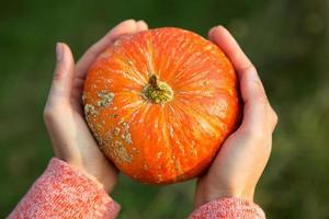 Orange round pumpkin in women's hands on a dark green background. Autumn harvest festival, farming, gardening, thanksgiving, Halloween. Warm atmosphere, natural products. Space for text photo