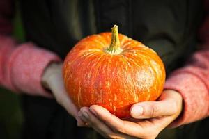 calabaza redonda naranja en manos de mujeres sobre un fondo verde oscuro. festival de la cosecha de otoño, agricultura, jardinería, acción de gracias, halloween. ambiente cálido, productos naturales. espacio para texto foto