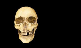 A model of a human skull on a black background, isolated. Head bone, eye sockets, teeth-a concept for science, medicine, Halloween. Copy space.