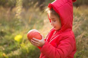 Orange round pumpkin in the hands of a little Caucasian girl in a bright red jacket with a hood. Focus on the pumpkin. Harvest festival, thanksgiving, eco-friendly food, autumn atmosphere, Halloween. photo