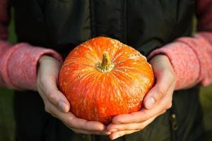 Orange round pumpkin in women's hands on a dark green background. Autumn harvest festival, farming, gardening, thanksgiving, Halloween. Warm atmosphere, natural products. Space for text photo