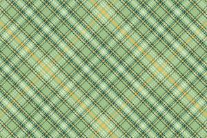 Tartan plaid pattern with texture and nature color. vector