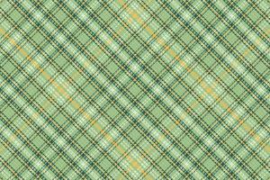 Tartan plaid pattern with texture and nature color. vector