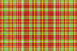 Tartan plaid pattern with texture and nature color. vector