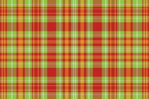 Tartan plaid pattern with texture and nature color. vector