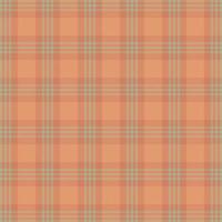 Tartan plaid pattern with texture and nature color. vector