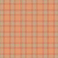 Tartan plaid pattern with texture and nature color. vector