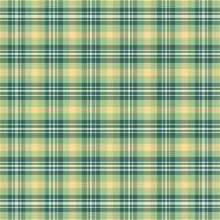 Tartan plaid pattern with texture and nature color. vector