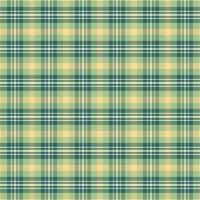 Tartan plaid pattern with texture and nature color. vector