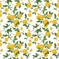 Abstract pattern with orange and leaves on white background. Vector. vector
