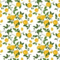 Abstract pattern with orange and leaves on white background. Vector. vector