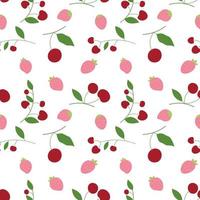 Abstract cherry and strawberry in pattern background. Vector. vector