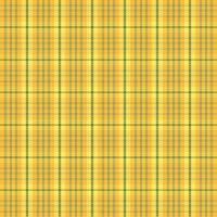 Tartan plaid pattern with texture and nature color. vector