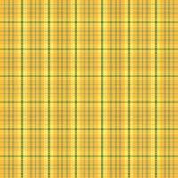 Tartan plaid pattern with texture and nature color. vector