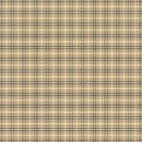 Tartan plaid pattern with texture and nature color. vector