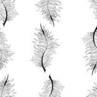 Seamless background with feather pattern vector