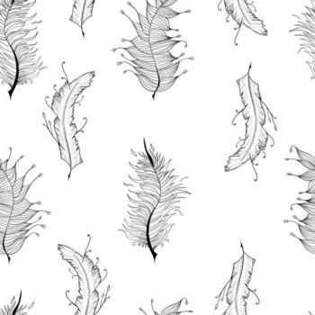 Seamless background with feather pattern vector