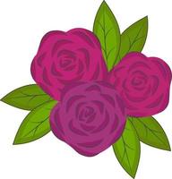 rosas rojas estilizadas resaltadas en un fondo blanco. flores vectoriales en estilo de dibujos animados. ilustración vectorial para saludos, bodas, diseño de flores. vector