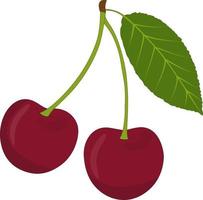 Vector illustration of a cherry tree. Vector illustration of a cherry used for magazines, books, food applications, posters, menu covers, web pages.