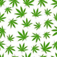 Seamless pattern with hemp leaves on a white background. vector