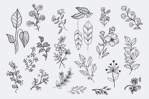 Hand drawn vector design floral elements