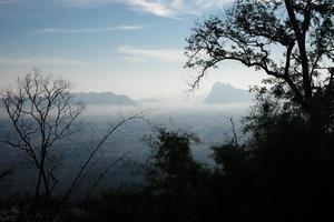 Landscape of tropical rainforest covered by fog in the morning. photo