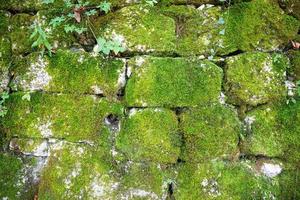 Background wall of arranged rocks in layers covered by green moss.