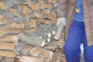 Collecting firewood after cutting for drying and heating the house photo