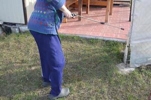 rociar árboles y plantas con una solución para proteger foto