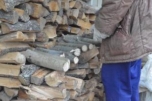 Collecting firewood after cutting for drying and heating the house photo