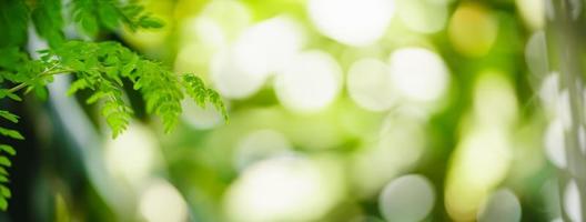 Closeup of beautiful nature view green leaf on blurred greenery background in garden with copy space using as background cover page concept. photo