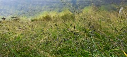 See the natural beauty of Mount Bromo, Indonesia photo