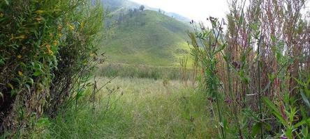 See the natural beauty of Mount Bromo, Indonesia photo