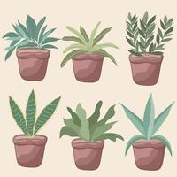 Green houseplant in the pot vector
