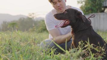Young asian attractive male sits a side of his black lovely Labrador training his pet to sit and wait, building pet's relationship, relaxing walking dog, leisure activity, evening exercise routine, video