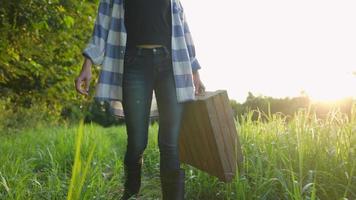 junge Scheunenbesitzerin mit schwerem landwirtschaftlichem Holzkasten, die morgens durch die Wiese geht, mit natürlicher Frische spazieren geht, schützende Gummistiefel auf dem Bauernhof spazieren gehen, Erntesaison beginnen video